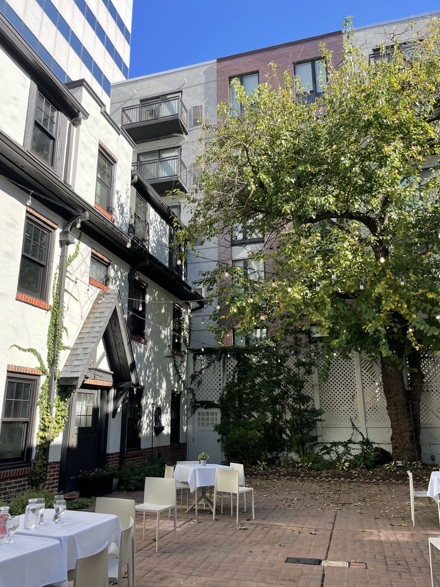 The courtyard tree over dining tables